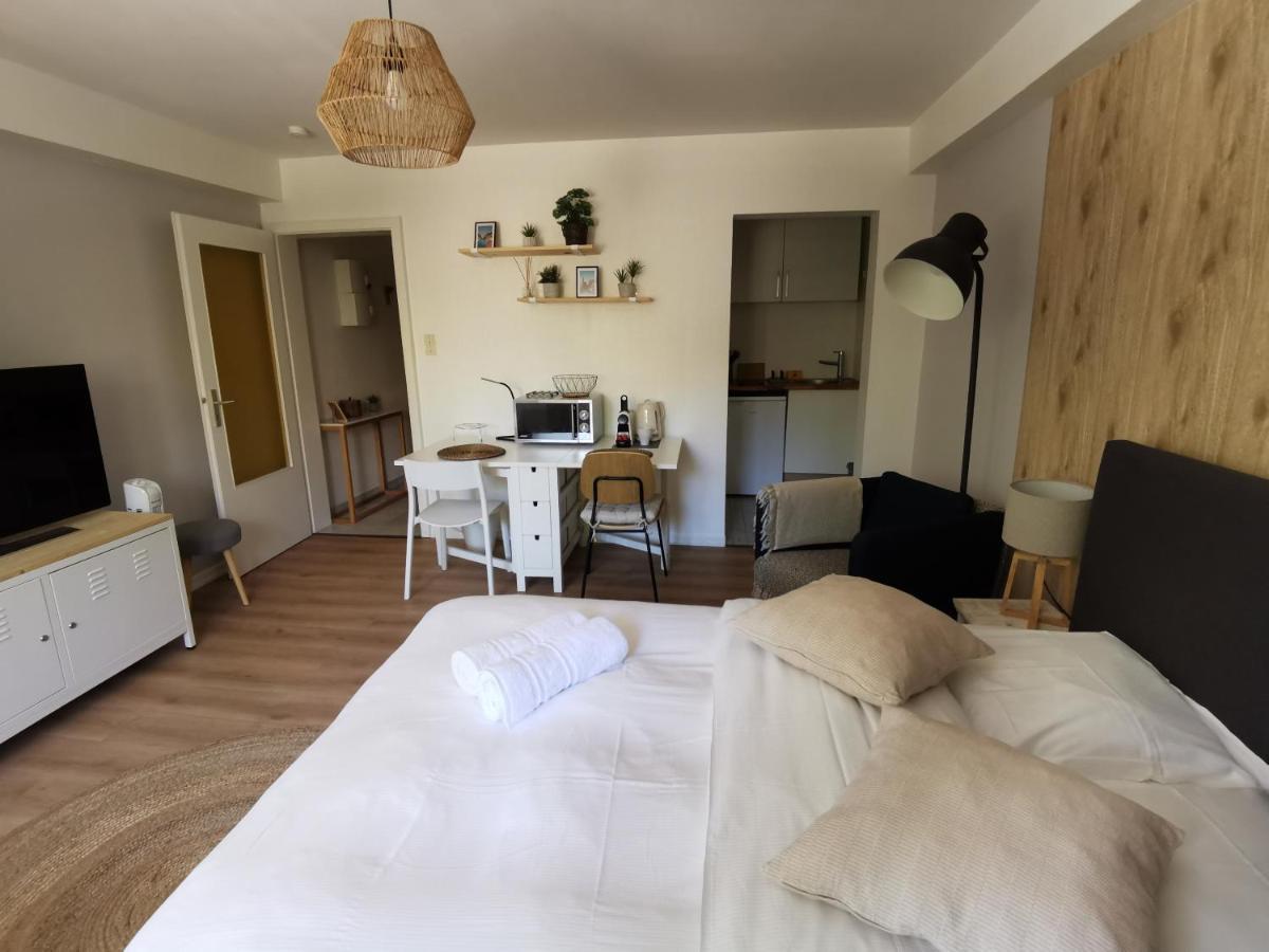 Marnesia - Studio Avec Vue Sur Les Quais Straßburg Exterior foto